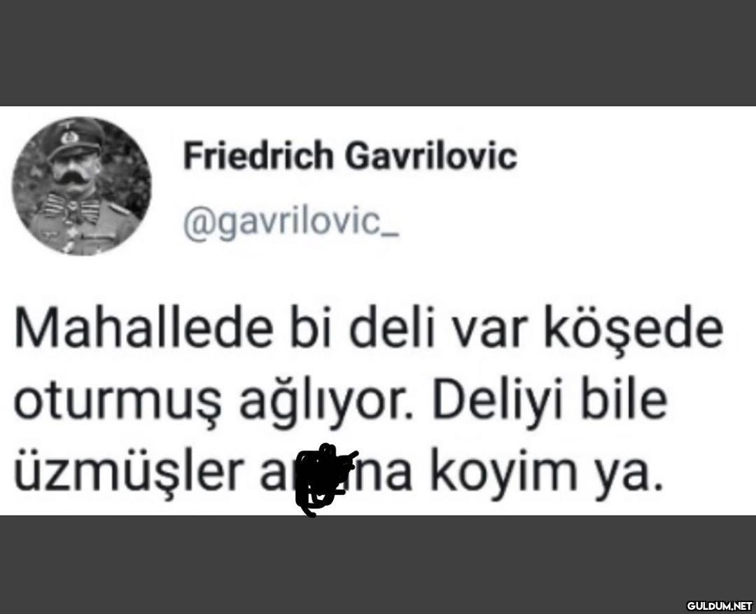 Friedrich Gavrilovic...