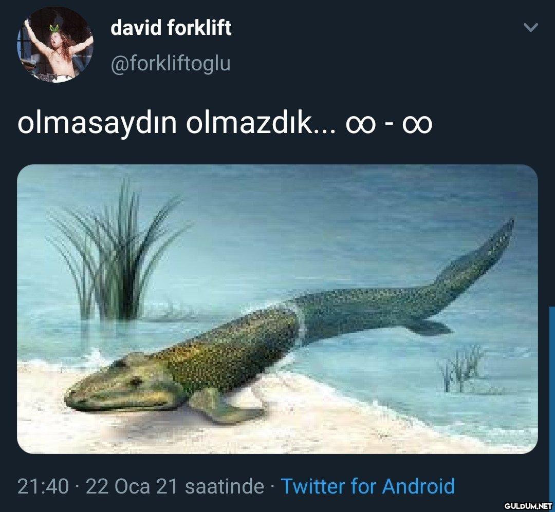 david forklift...
