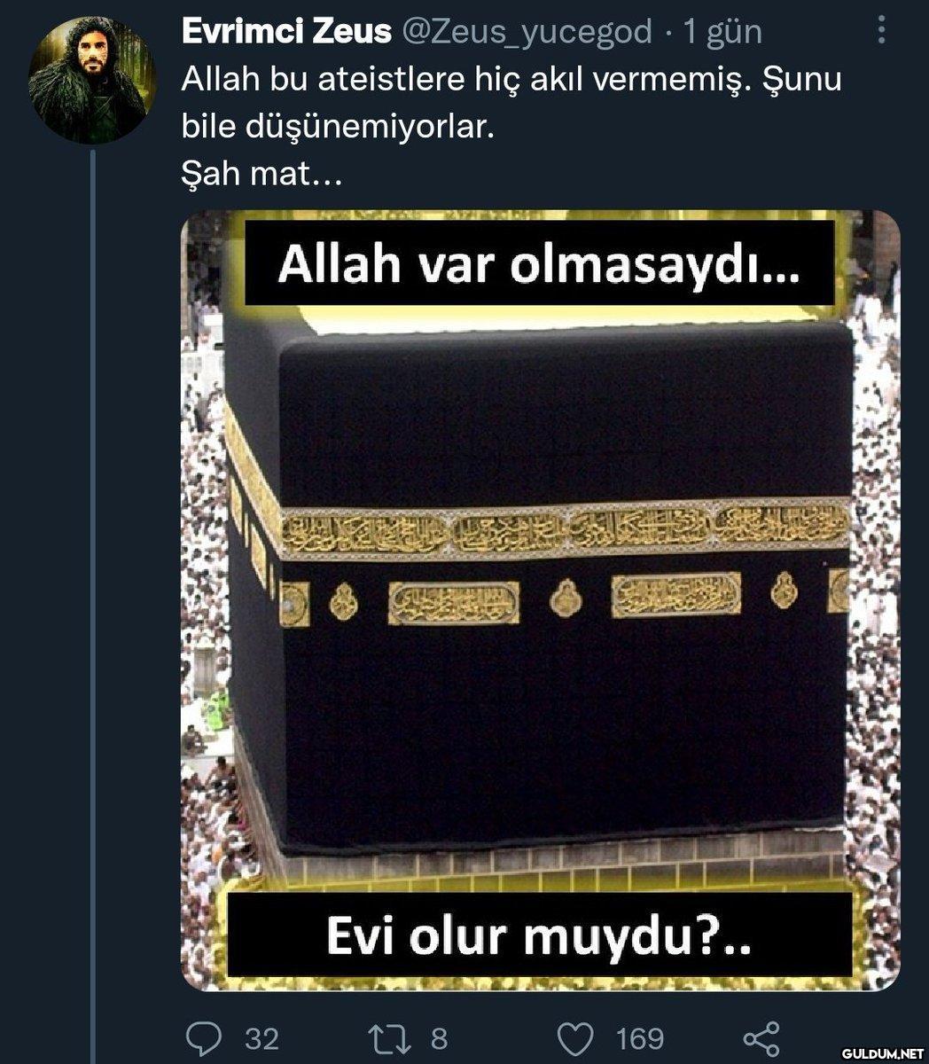 Evrimci Zeus...