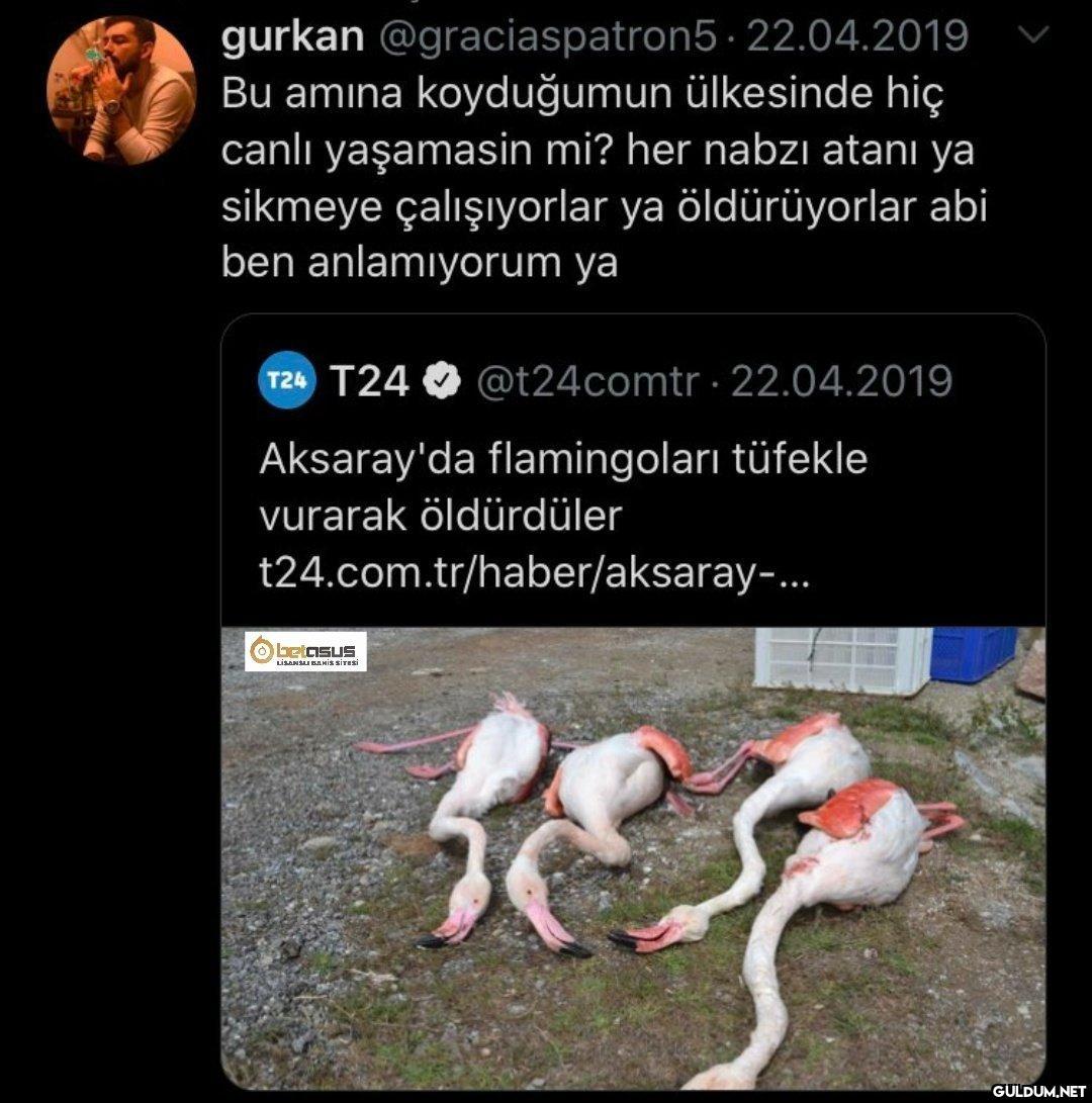 22.04.2019 gurkan...