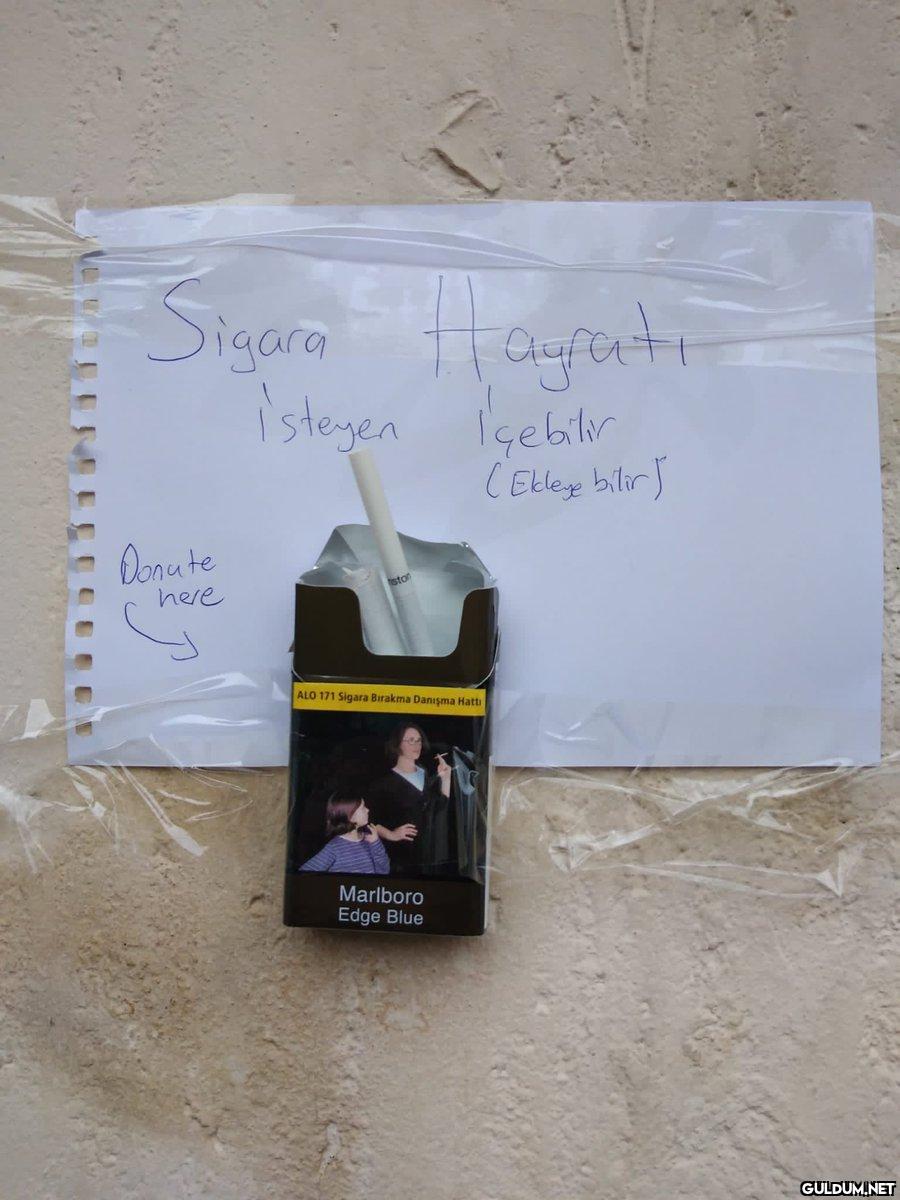 Yardımlaşma desen var...