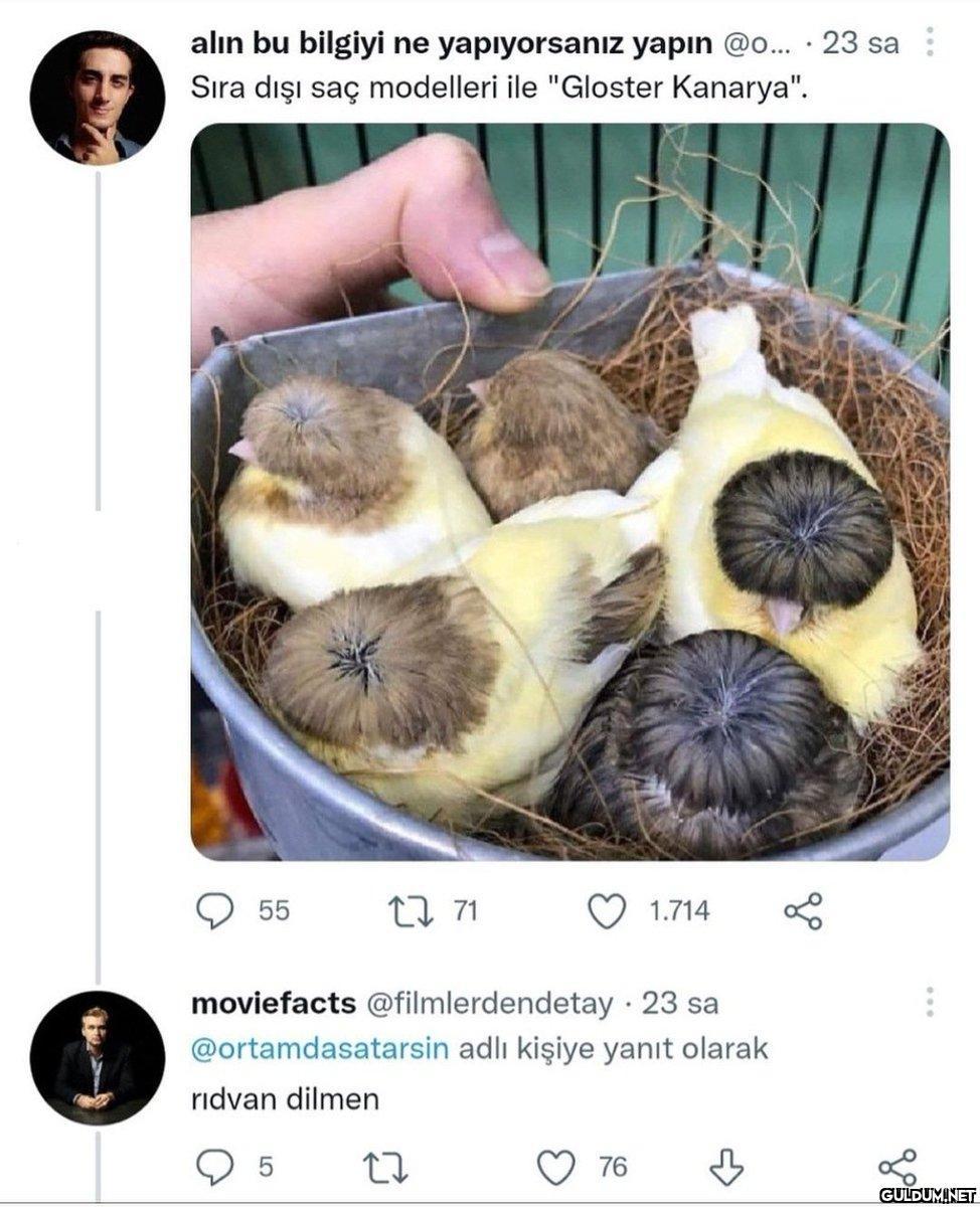 https://t.co/MHbpB4SOa6  ...