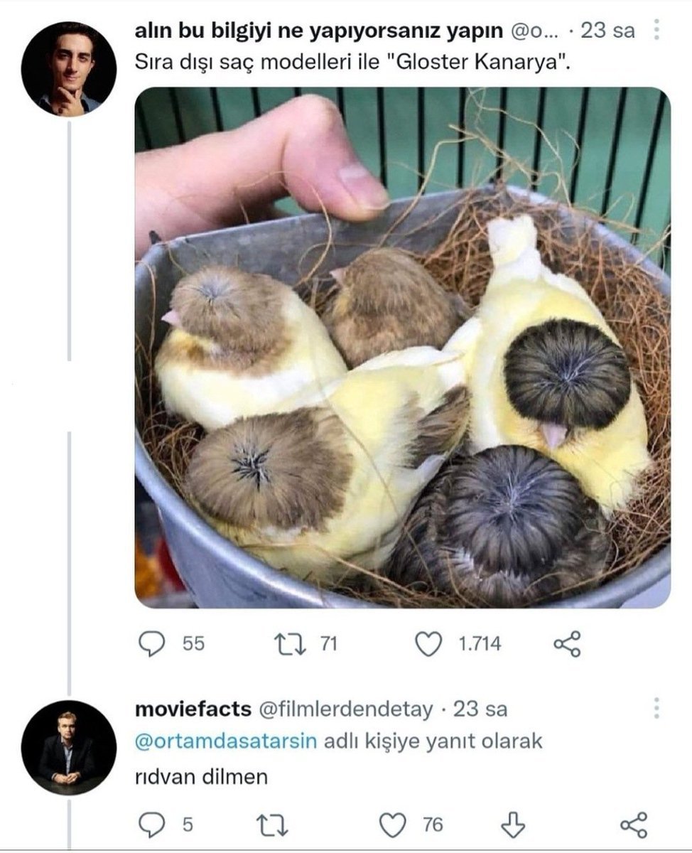 https://t.co/MHbpB4SOa6  ...