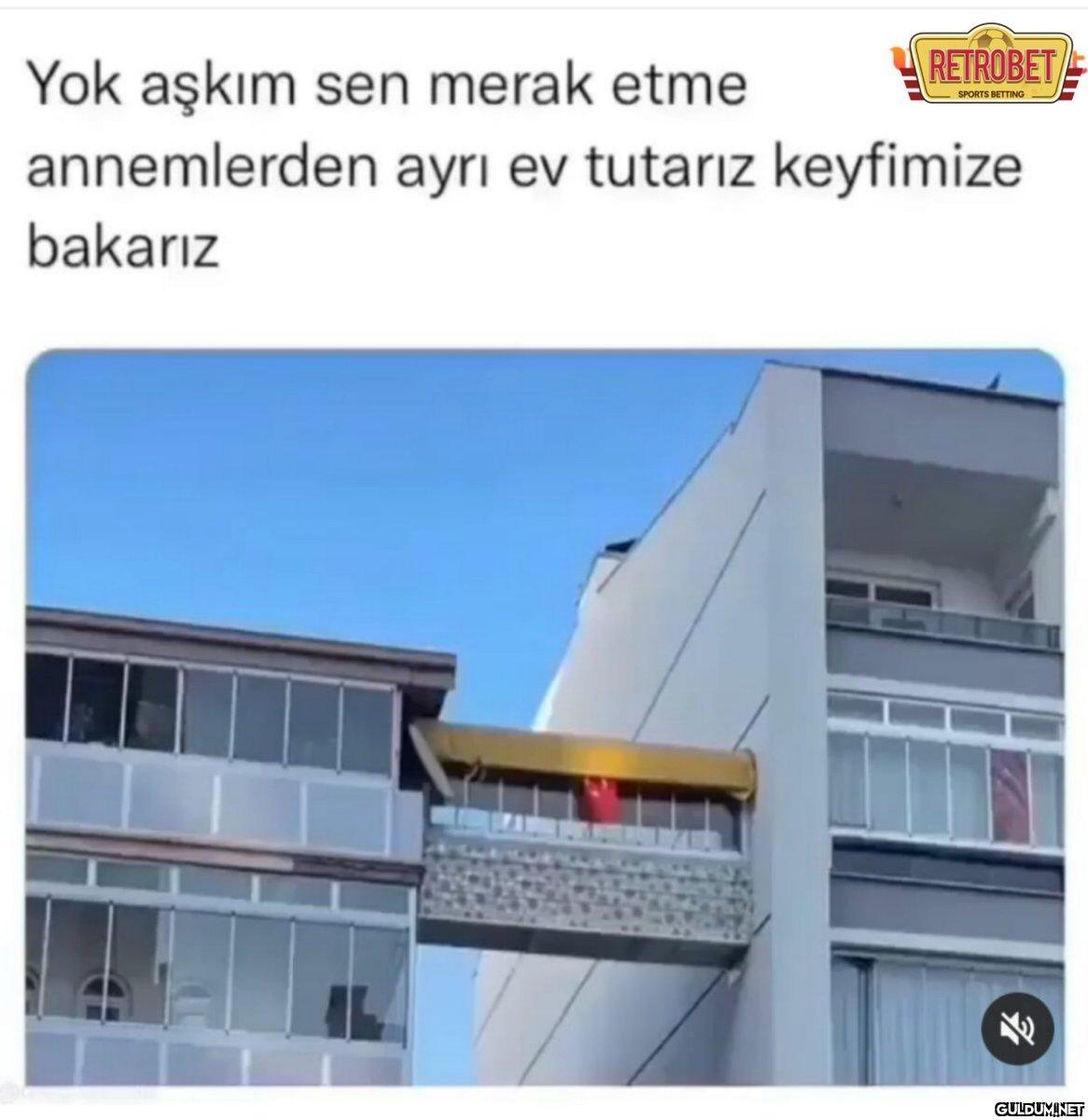 https://t.co/2yNu2usr8U  ...