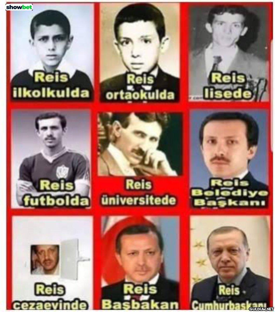 showbet Reis ilkolkulda...
