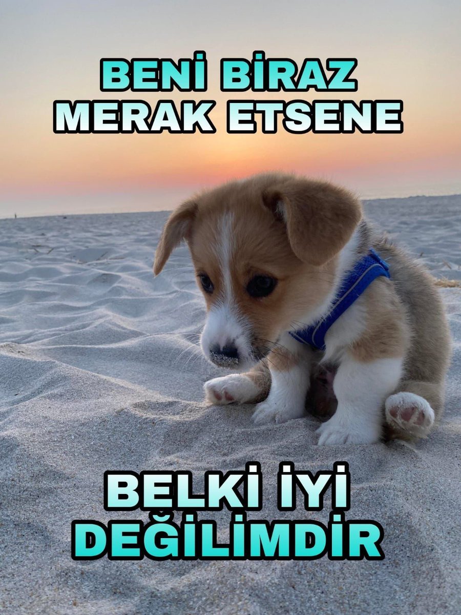 Biz buradan devam...