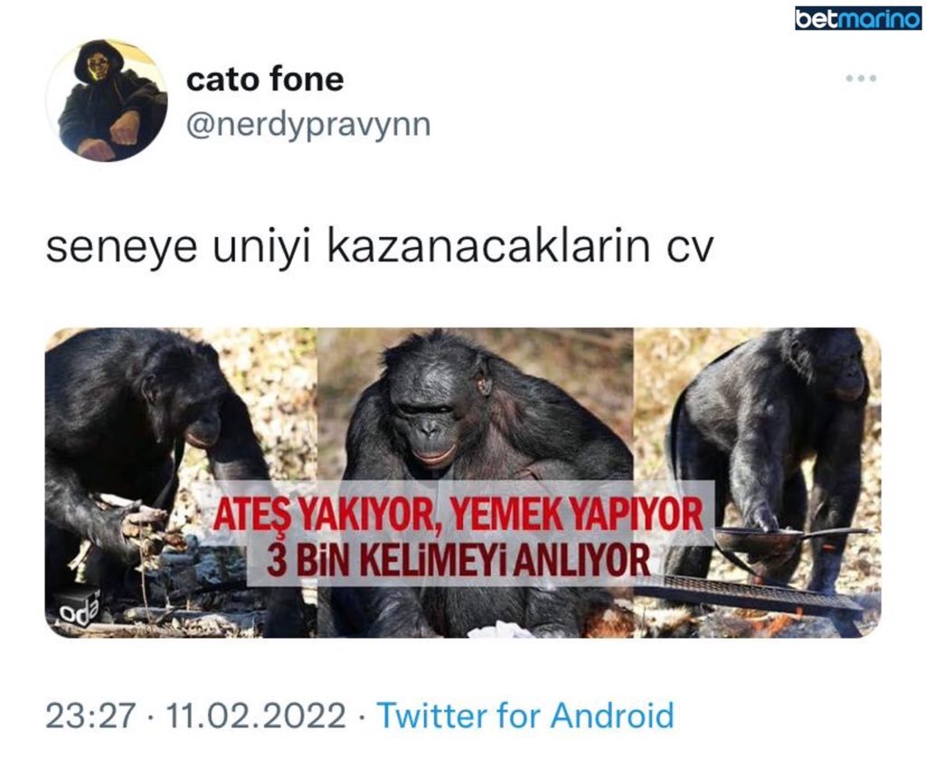 cato fone @nerdypravynn...