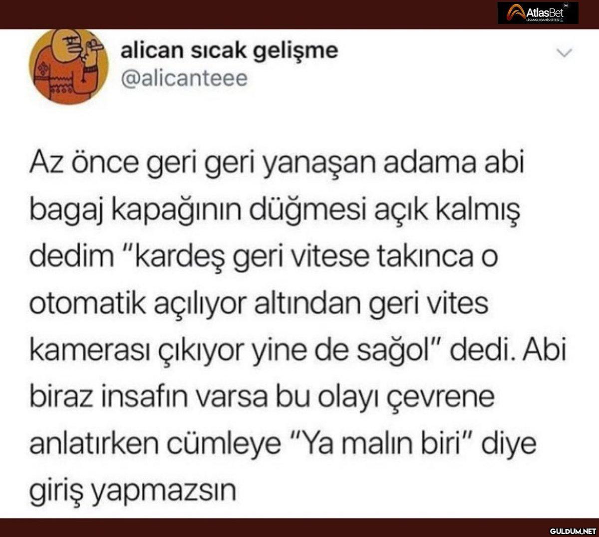 AtlasBet LISANSUBANES...