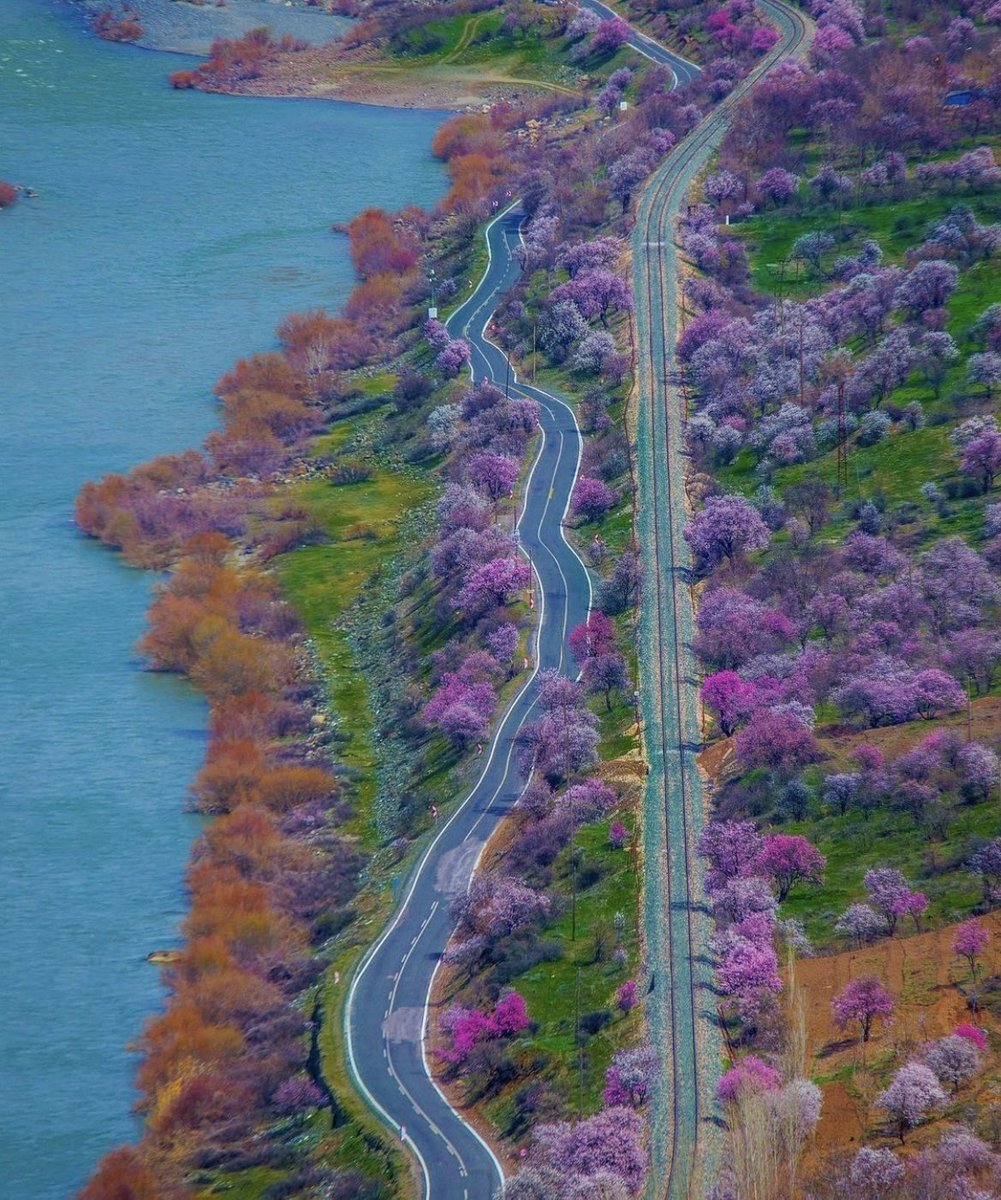 🌸 Çiçek açan badem...