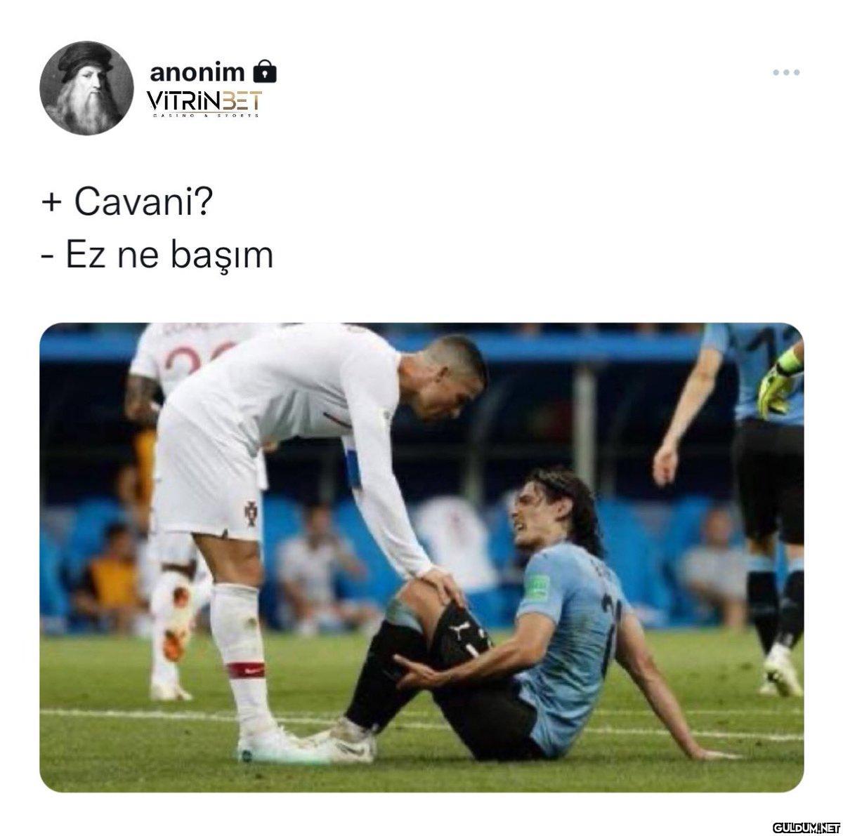 https://t.co/BjaS4h8ogg  ...