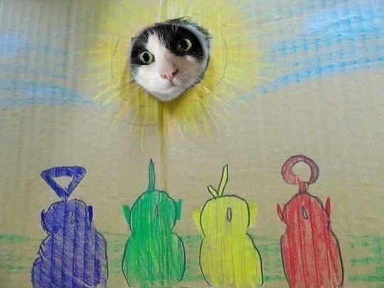 Güneş doğarken ardından...