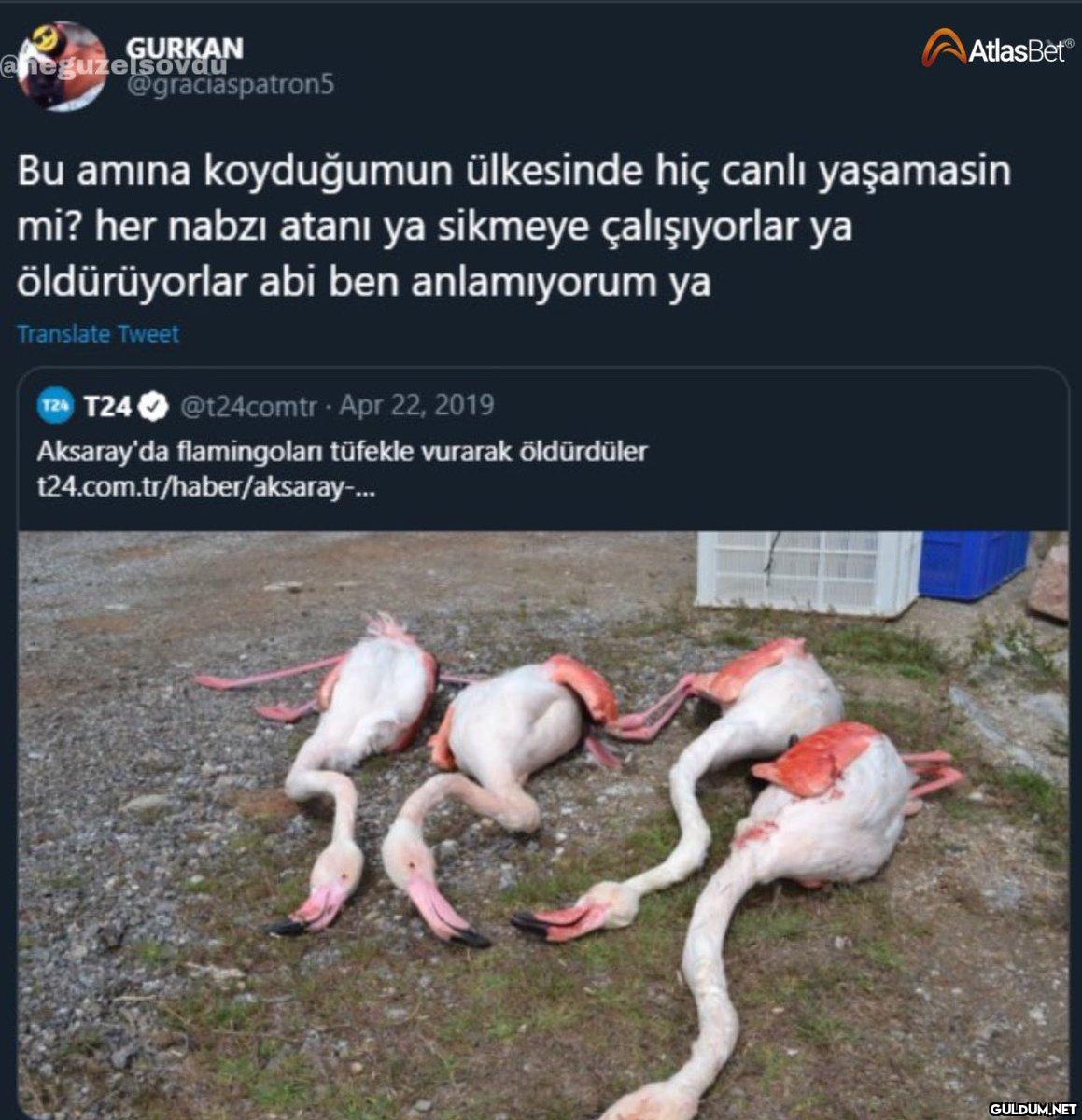 https://t.co/kvzfIMrIfj  ...