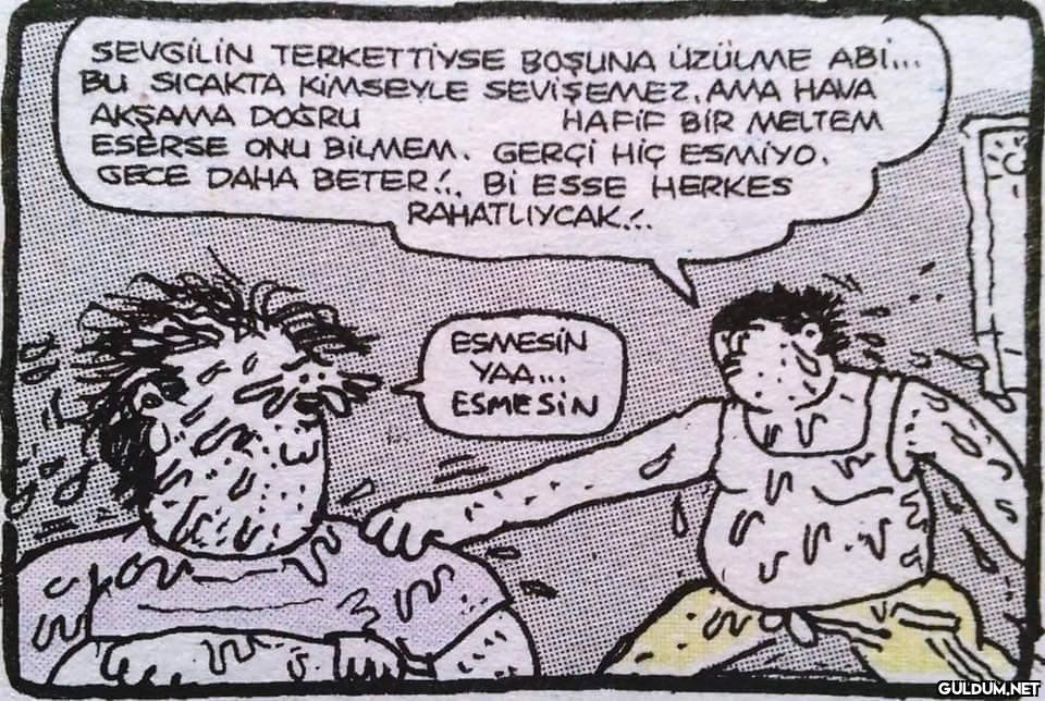 https://t.co/1H7xdquXNW ...