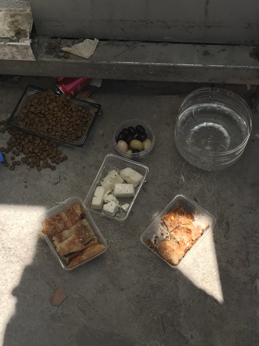 Koca yürekli birisi...