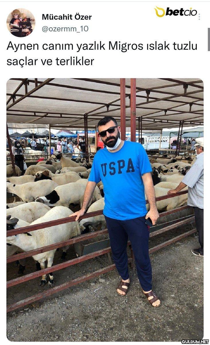 https://t.co/jbPd3loaZ9  ...