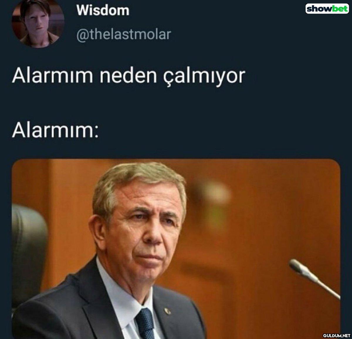 Wisdom @thelastmolar...