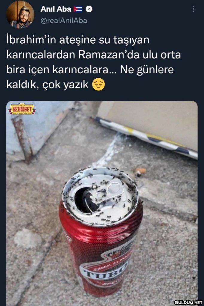 Anıl Aba @realAnilAba :...