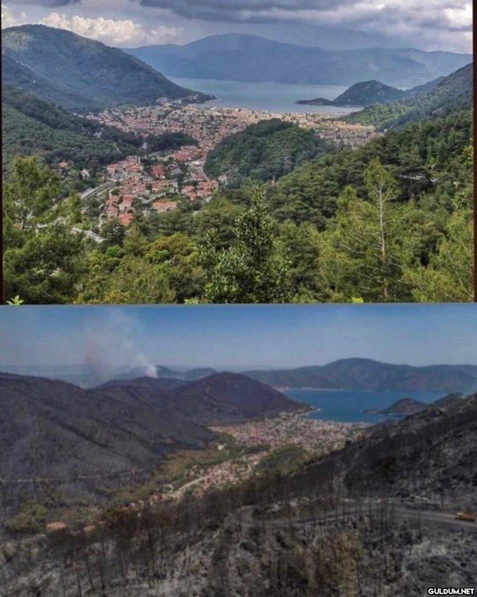 Malum günlere geri...