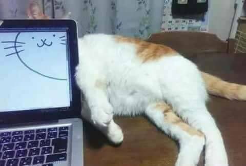 Denk gelişler...