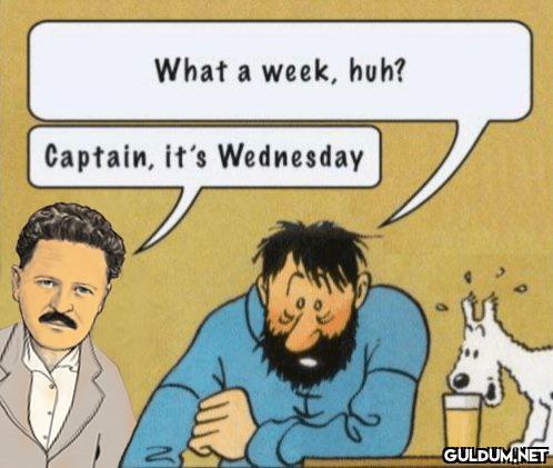 What a week, huh? Captain,...