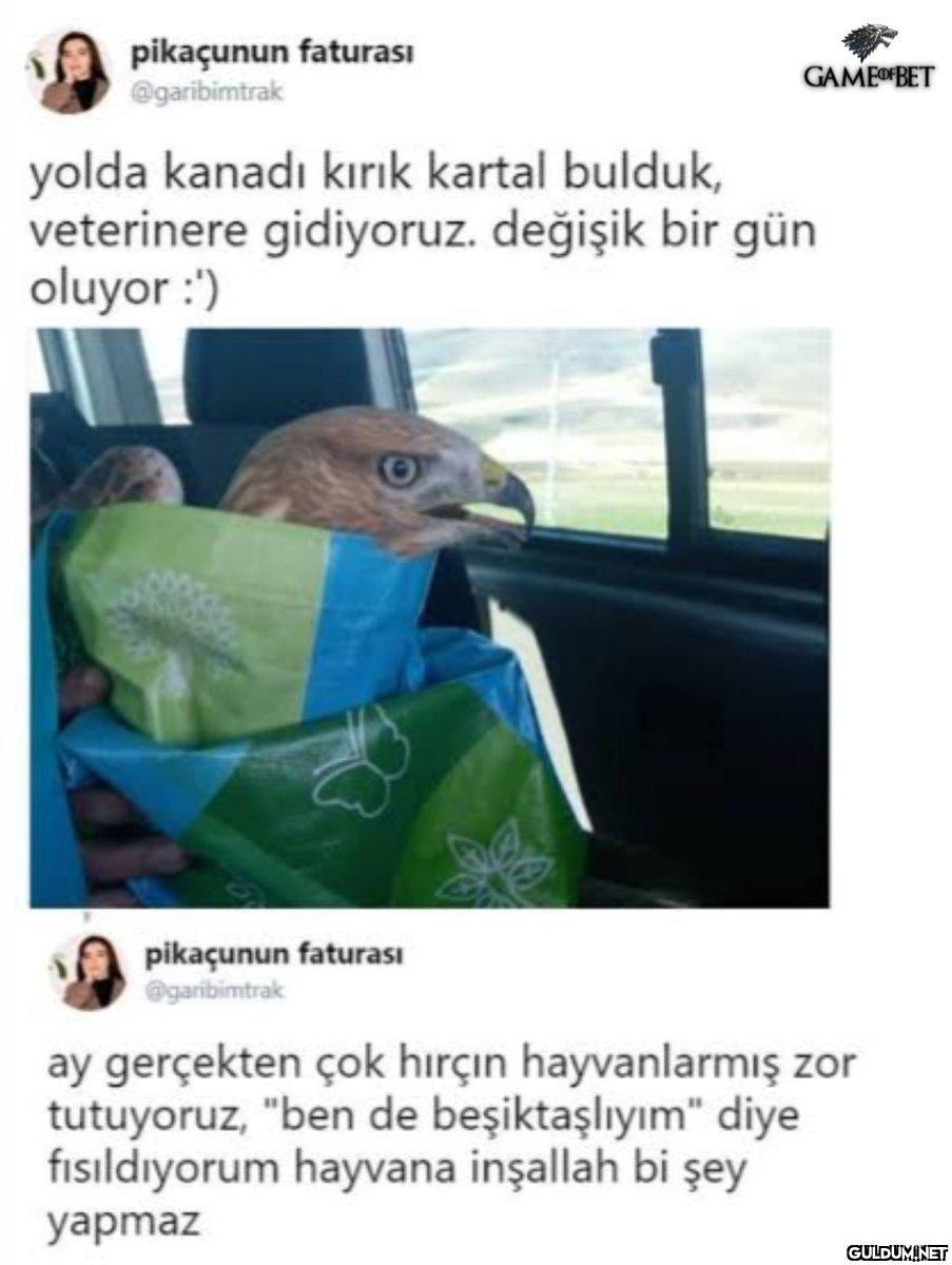 https://t.co/2UlXSBBWko  ...