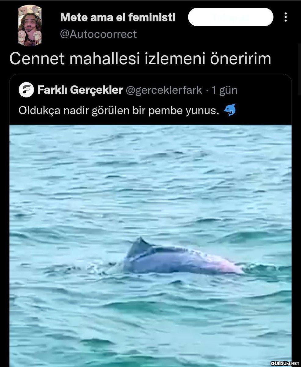 Hahahahah...