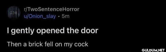r/TwoSentenceHorror 288...