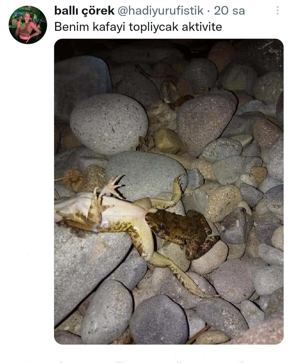 ballı çörek...