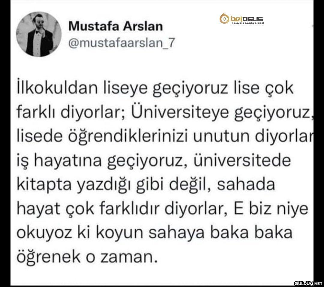 Mustafa Arslan...