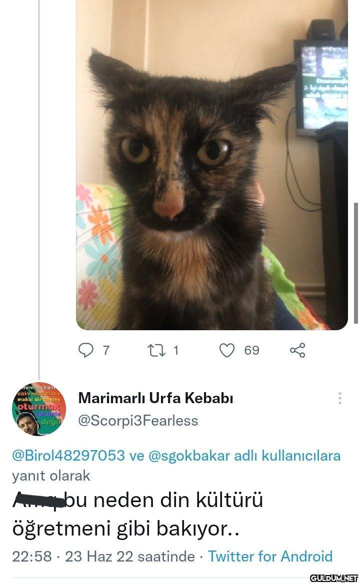 nimecyklen sizin...