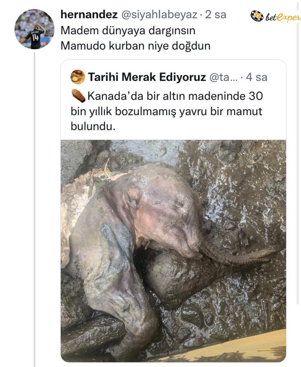 hernandez @siyahlabeyaz 2...