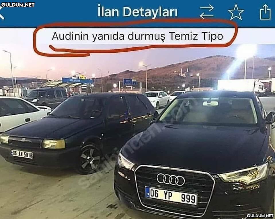 HSKFMNFSNDFJDJFKKGKF...