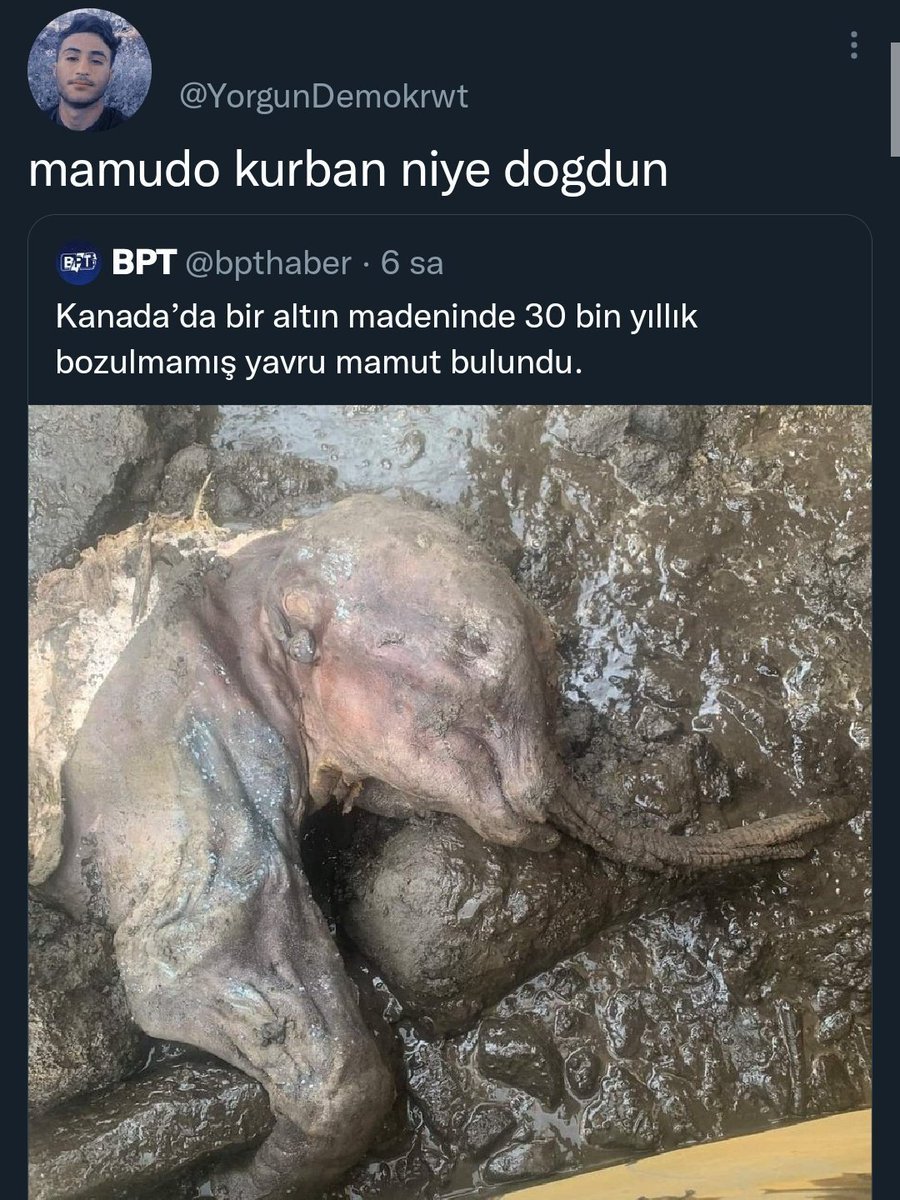 @YorgunDemokrwt mamudo...