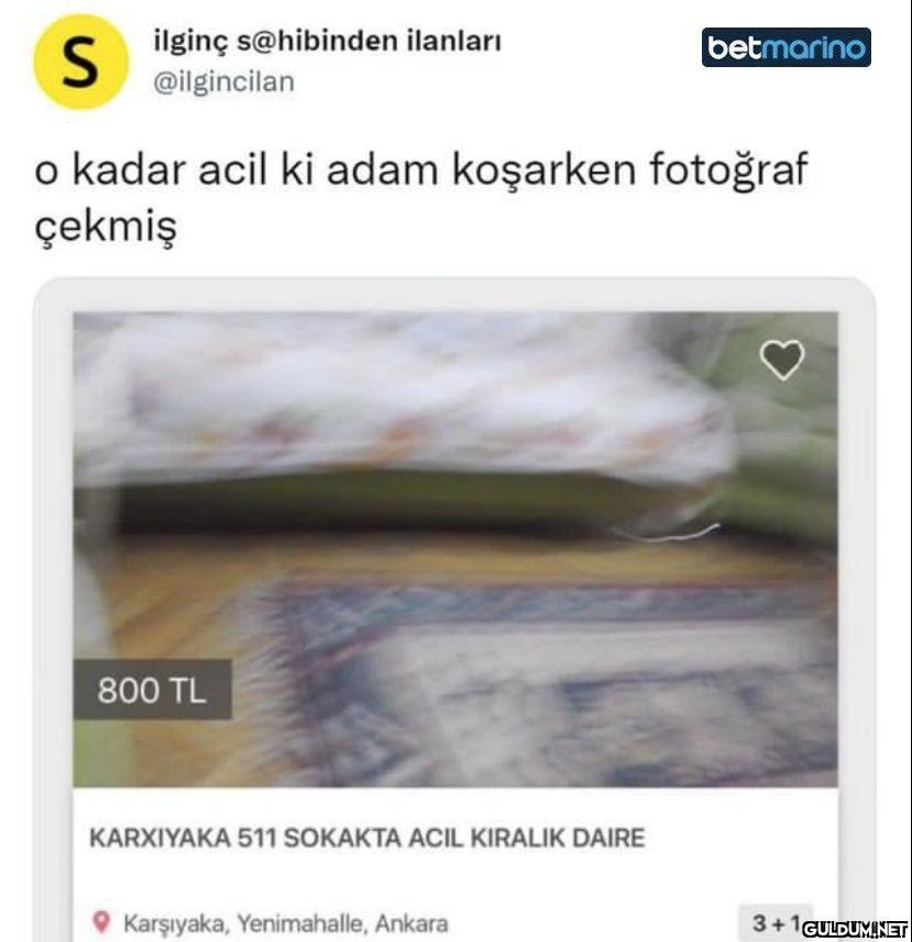 Snksjs...