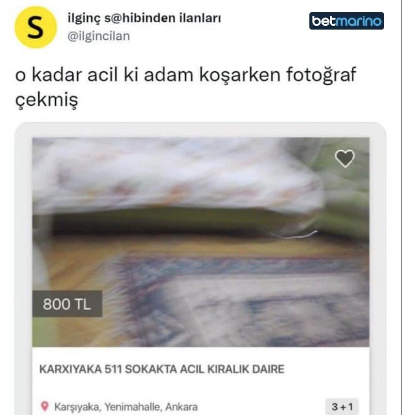 Snksjs...