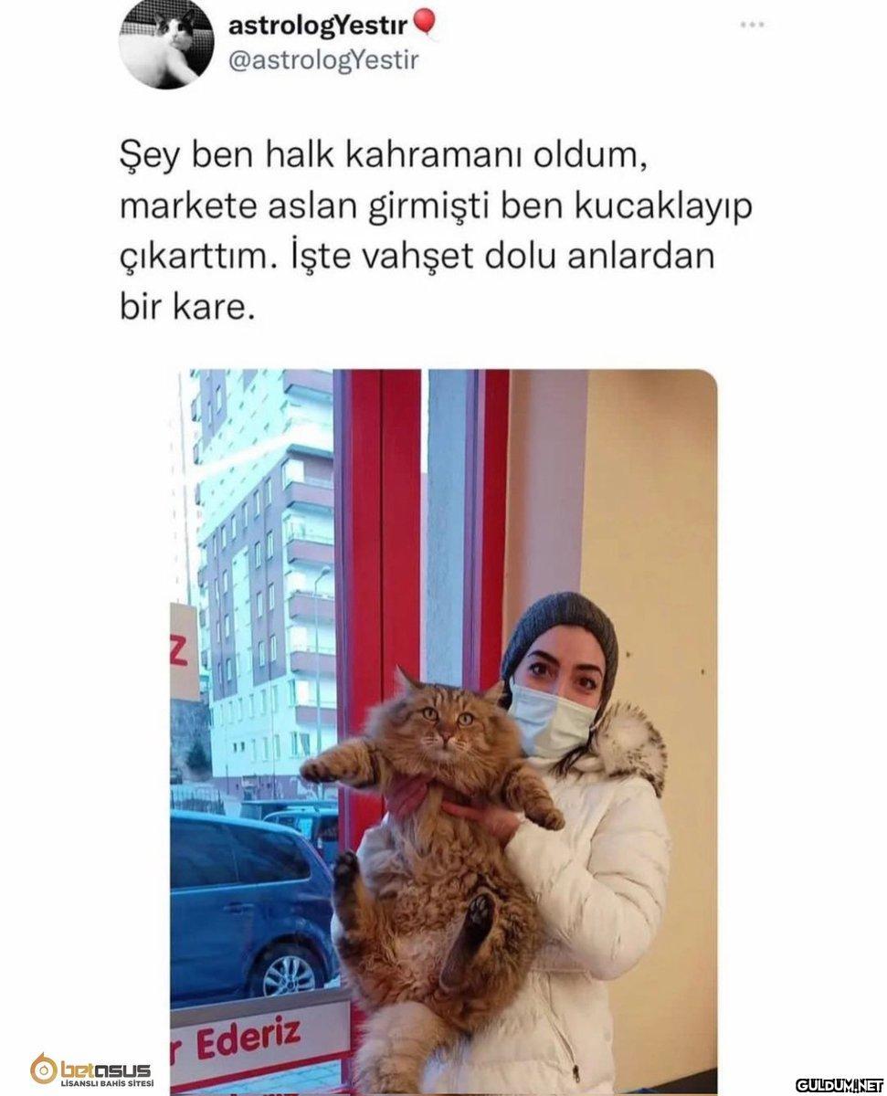 Şu aslana bakar mısınız 🥰...