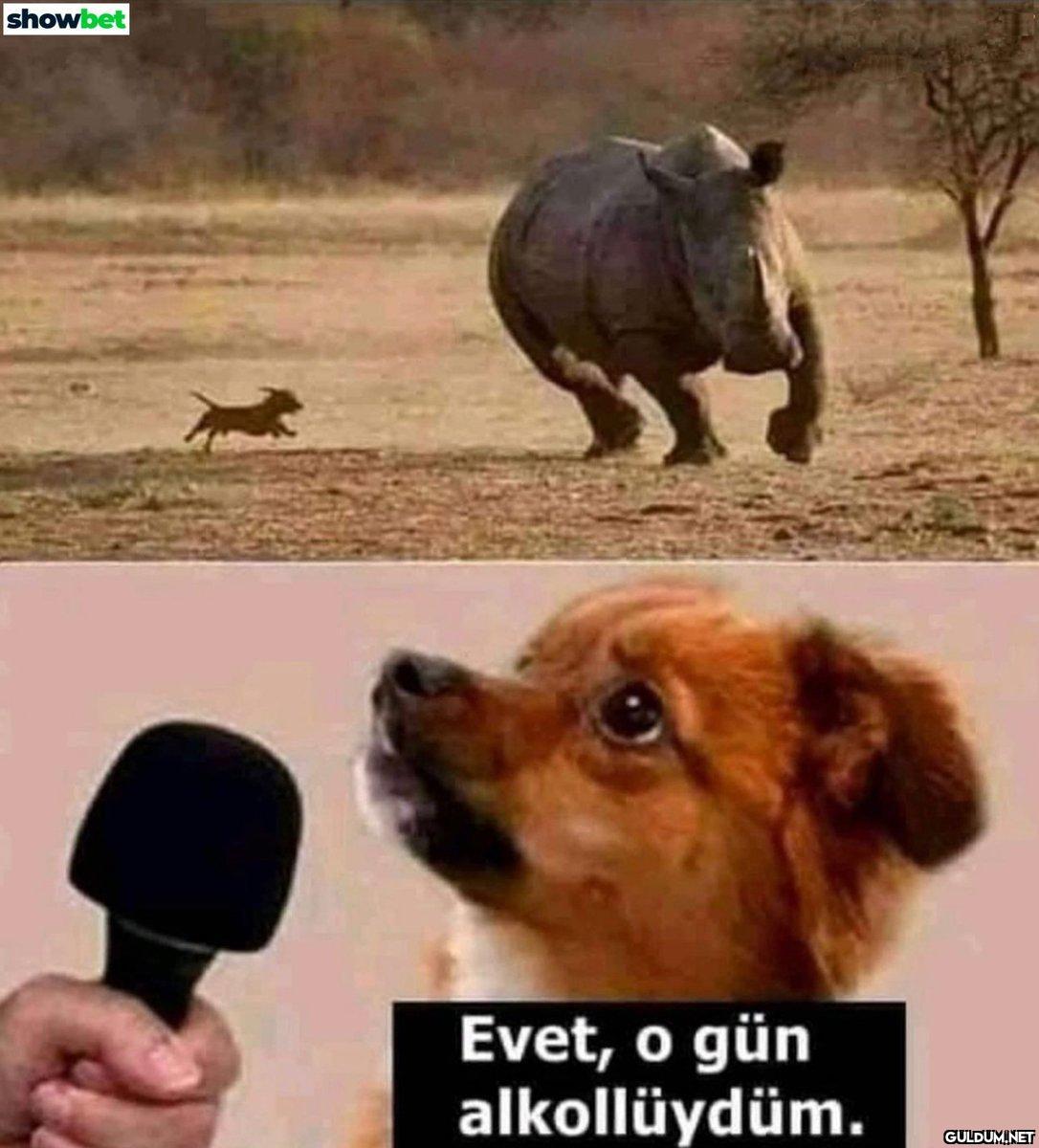 https://t.co/mICzkDcxqY  ...