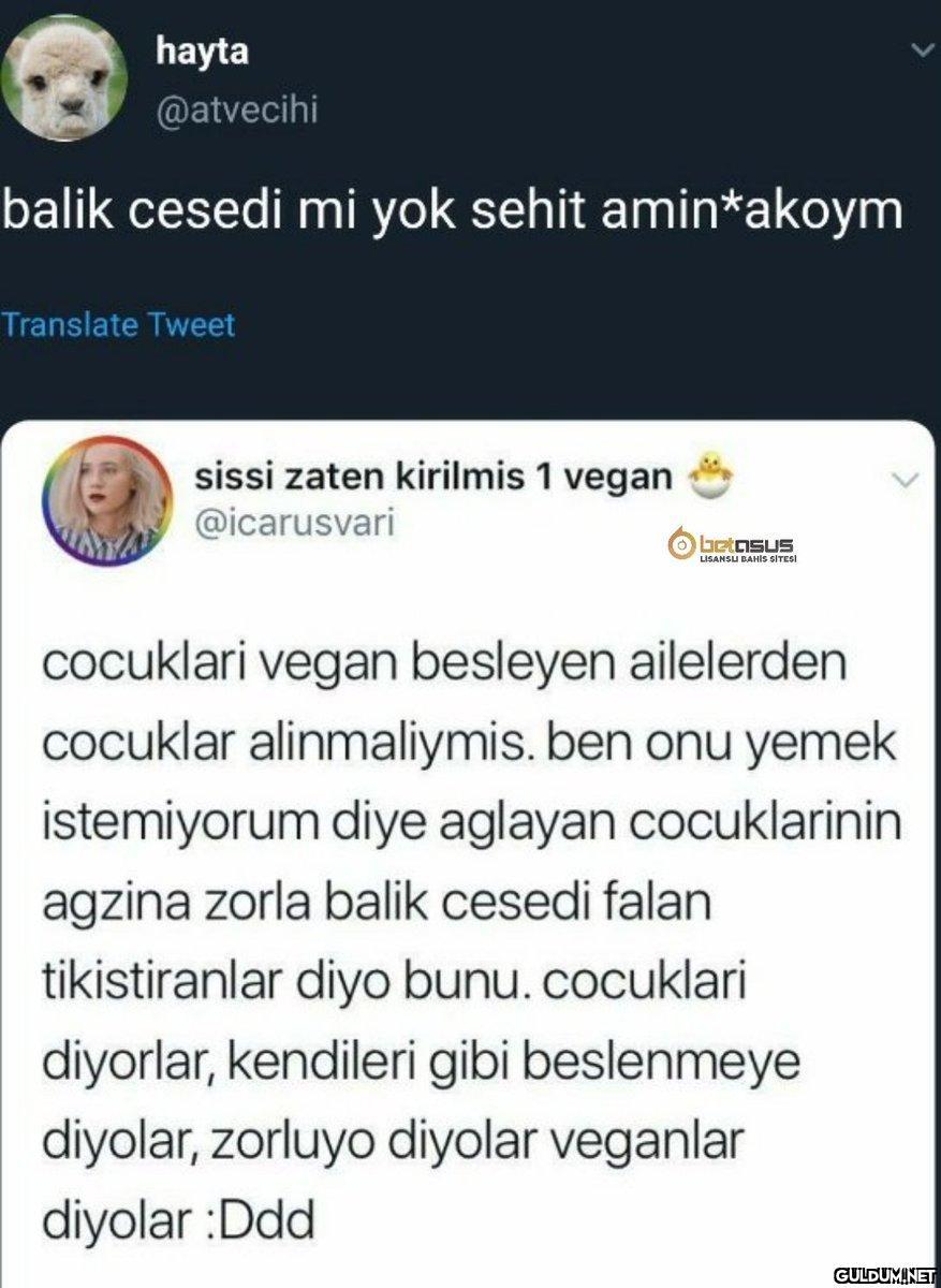 hayta @atvecihi balik...