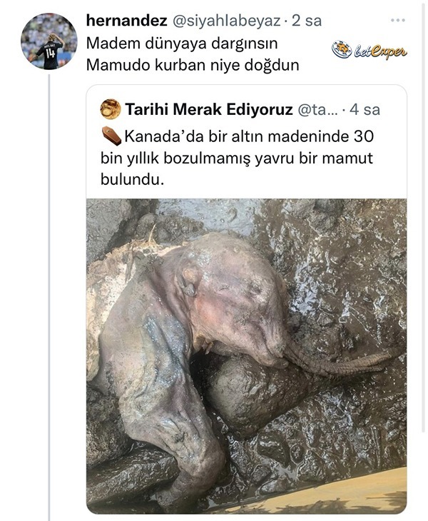 Sdjsjn...