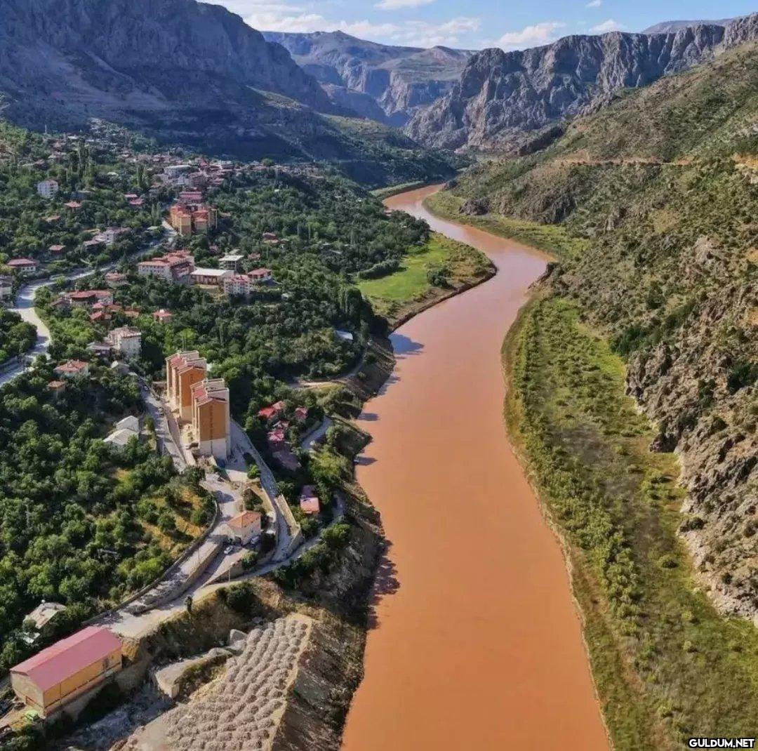 Fırat Nehri'nin siyanürden...