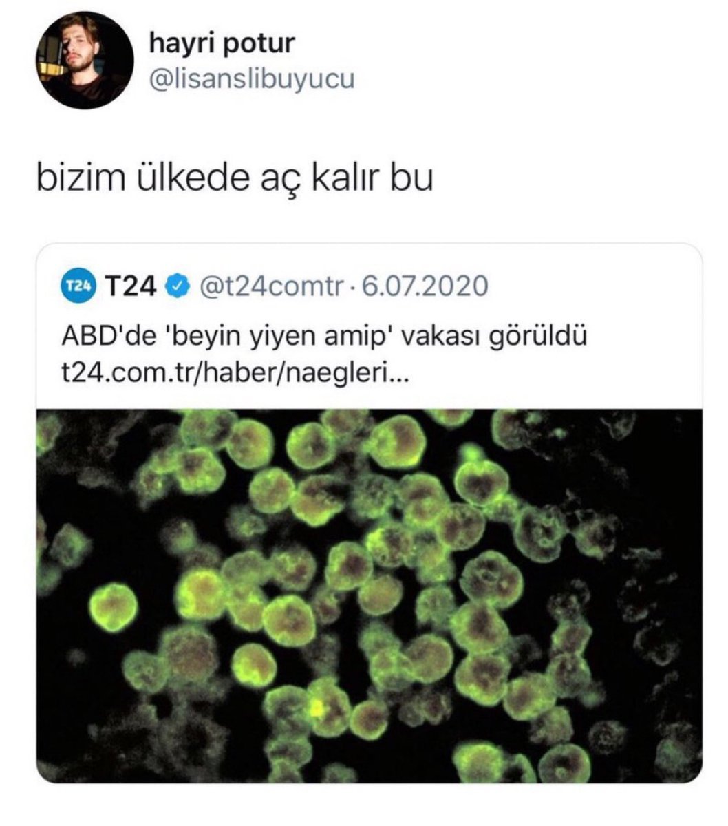 hayri potur...