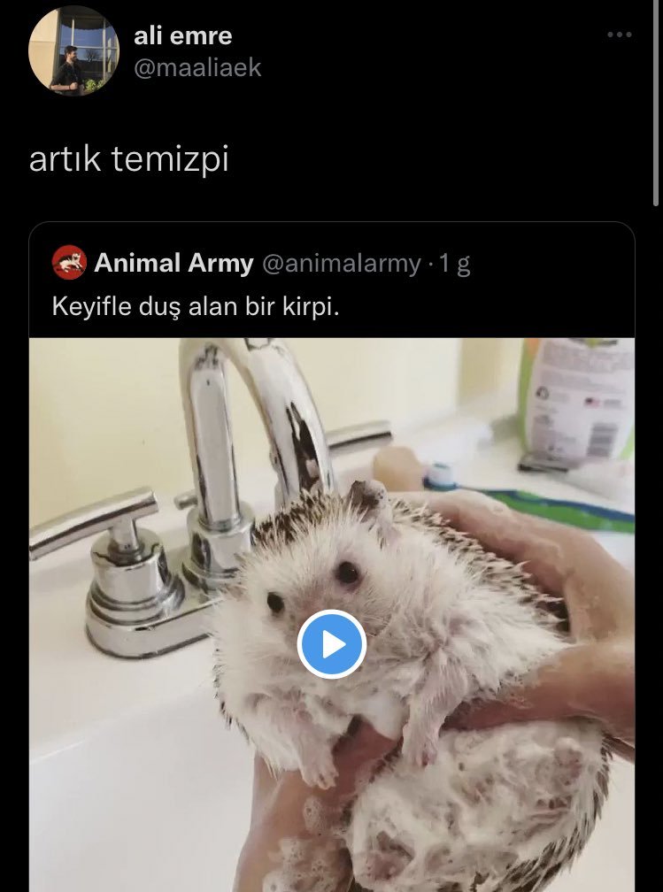 Günaydın...