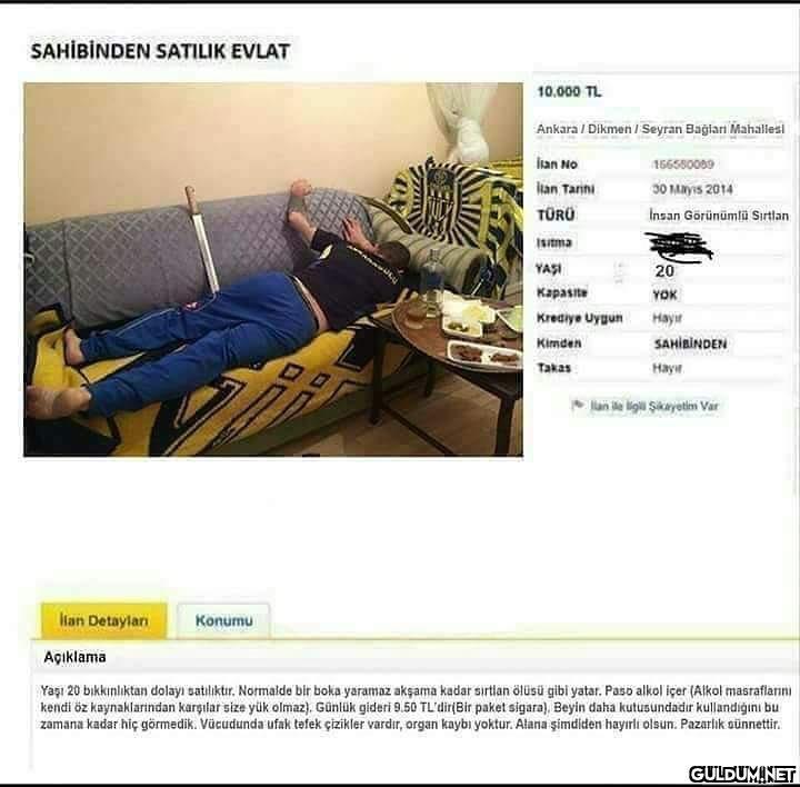 bıkkınlıktan dolayı...