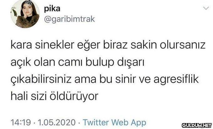 https://t.co/bbYgR1SS6h  ...