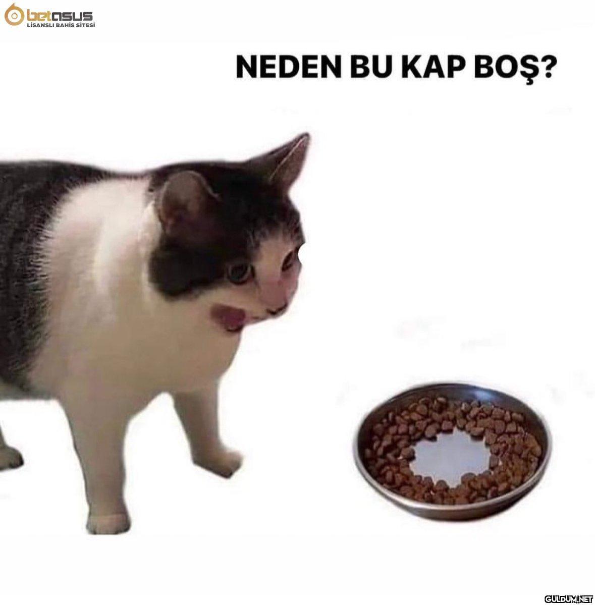 ObetasuS LİSANSLI BAHİS...
