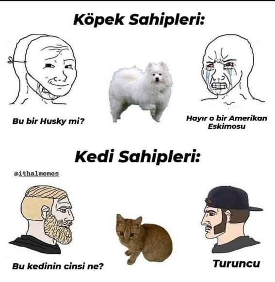 https://t.co/YUVyoajm6O  Kaynak