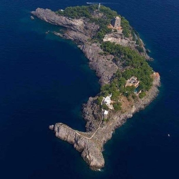 🐬 İtalya kıyılarında yunus...