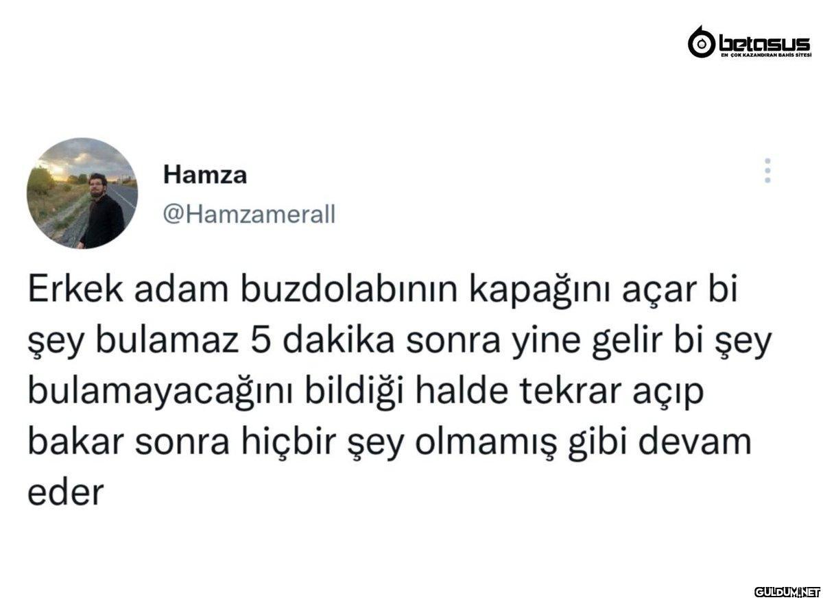 Hamza @Hamzamerall betasus...