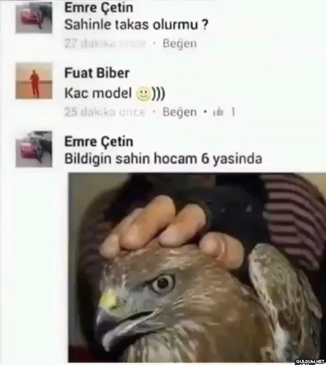 dışarıda tam sahibindenden...