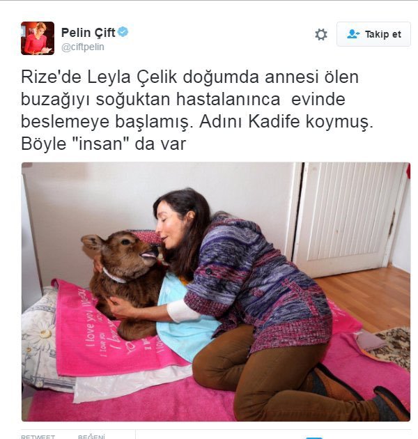 tüm türkiye'de...
